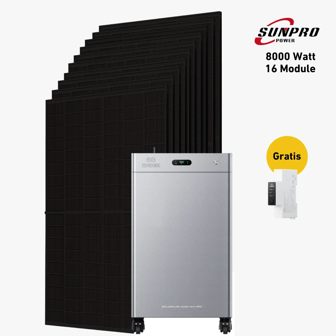 Max 8000 bifazial Pro (mit Zendure SolarFlow 4000 Mix Pro)