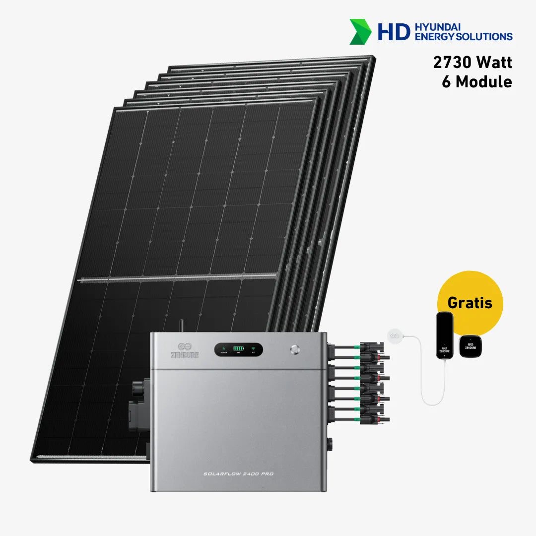 Basic 2730 bifazial Pro (mit Zendure SolarFlow 2400 Pro)