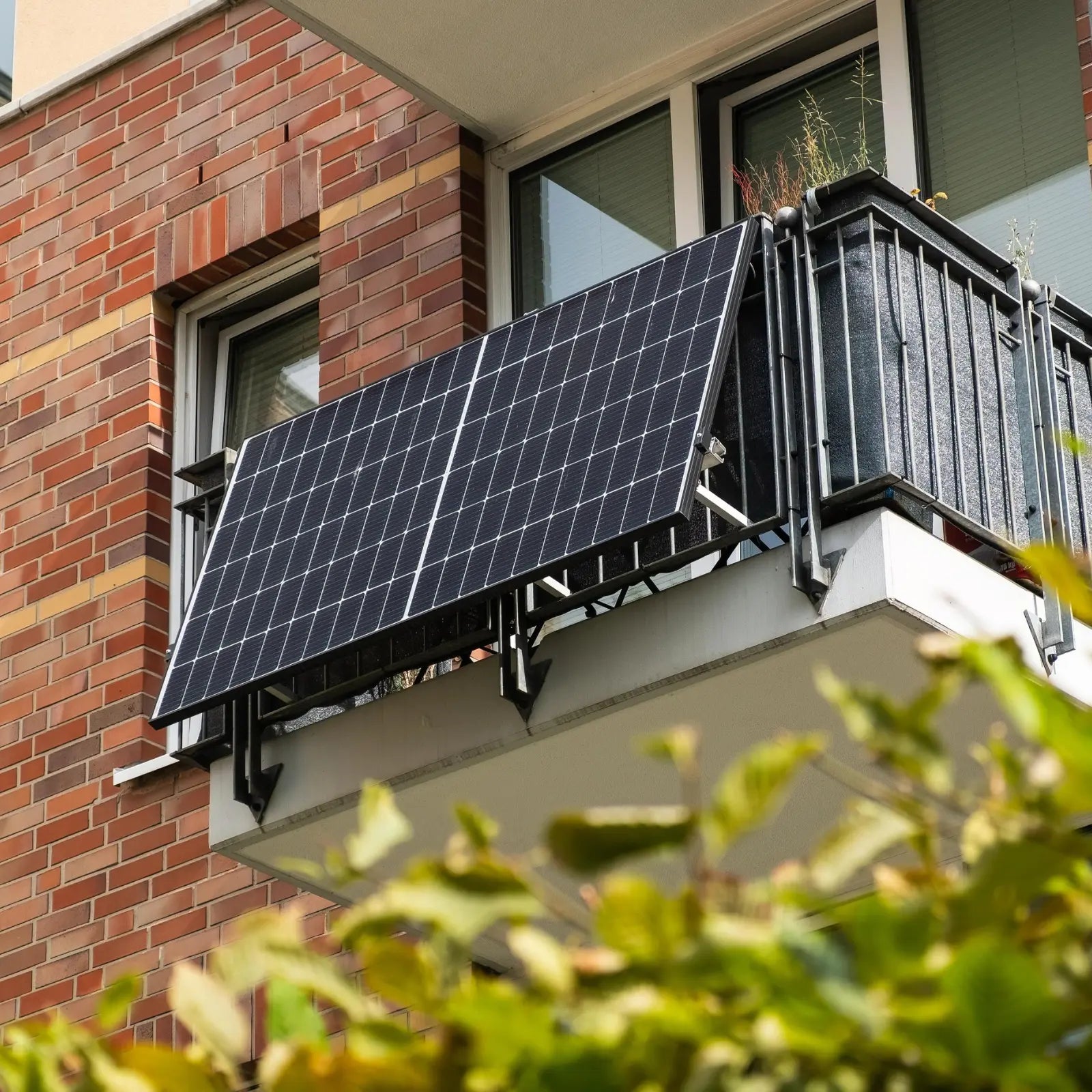 Balkonkraftwerk ein Solarmodul Sichtschutz montiert an Balkon Sicht von unten mit Blättern im Vordergrund