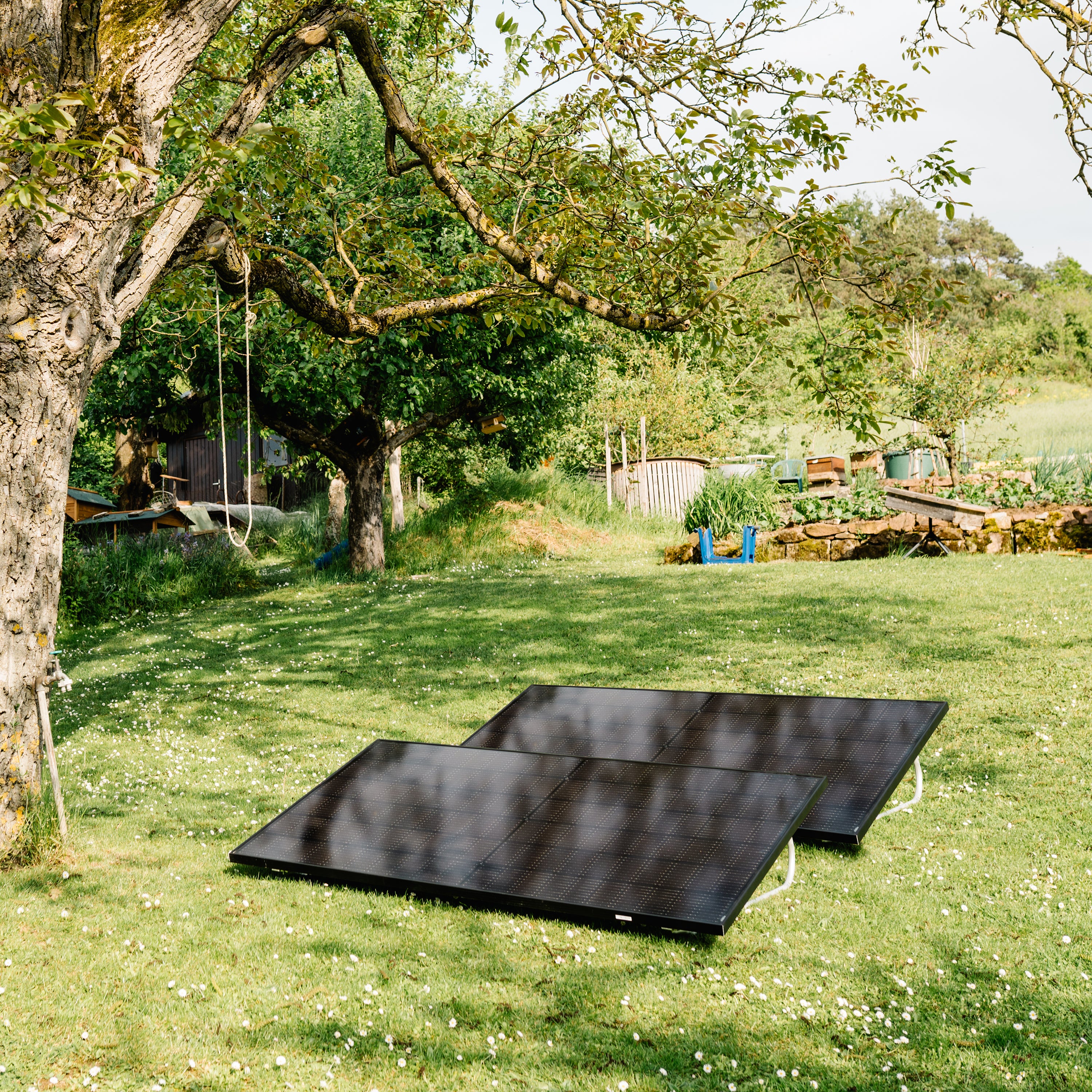 Balkonkraftwerk Balkonstrom zwei Solarmodule auf grüner Wiese