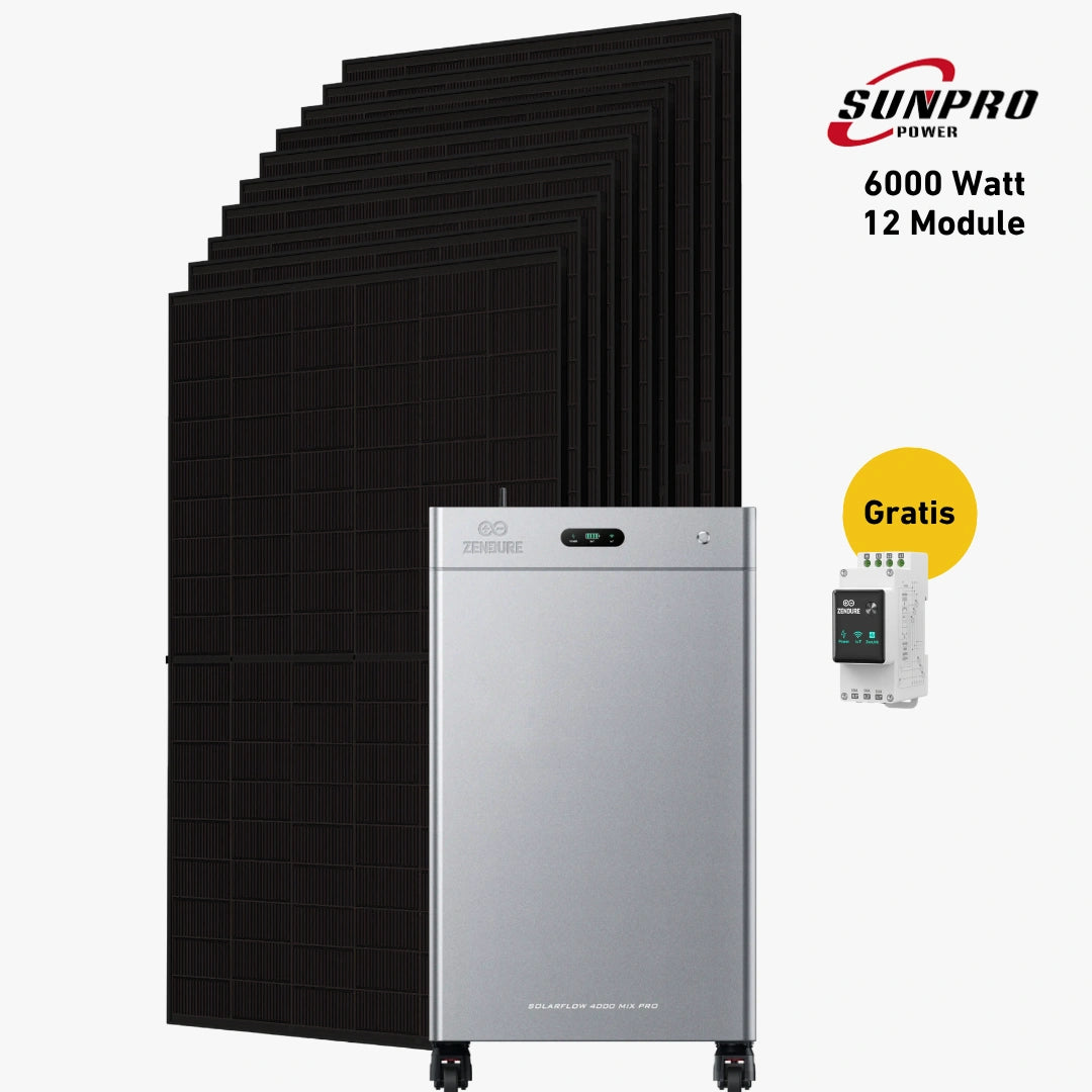 Max 6000 bifazial Pro (mit Zendure SolarFlow 4000 Mix Pro)
