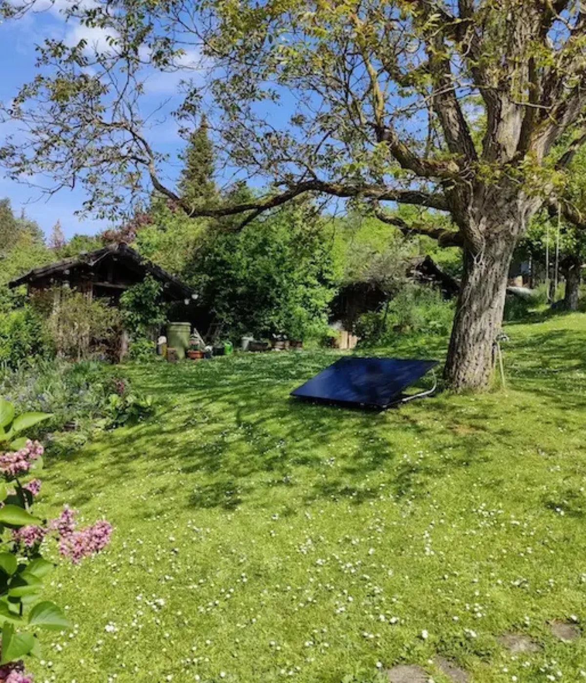 Solarmodule im Garten unterm Baum bei Sonnenschein
